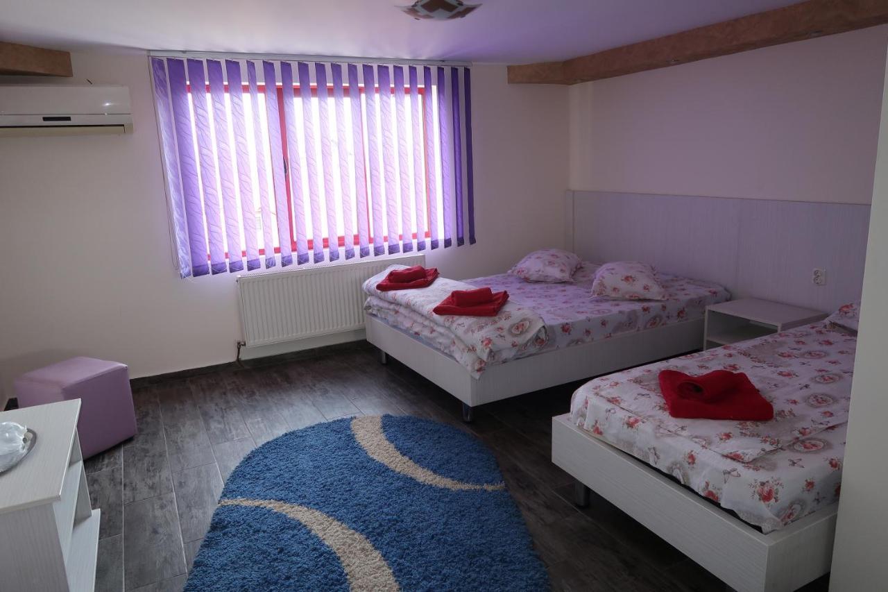 Pensiunea Arthur Râmnicu Vâlcea 外观 照片
